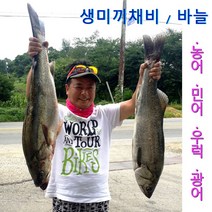 [바다의신] 생미끼채비 바늘 외수질 외줄 (어초 선상 우럭 농어 광어 민어), 묶음농어바늘 20호(10개입)