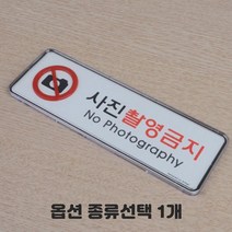 투명 케이스형 CCTV 보안카메라 녹화중 작동중 화장실 소화기 출입금지 금연 흡연 걸이형 부착형 당기세요 미세요 종류선택 1개, 소 사진촬영금지 가로형 3개입