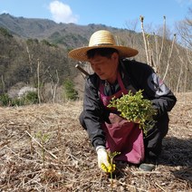 지리산 22년 햇 고사리 건 건조 말린 나물 200g, 건조 고사리 200g
