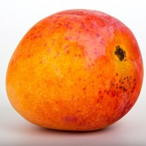 [특등급] 당도보장 프리미엄 생 애플망고 1KG