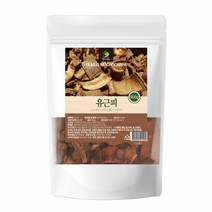 느릅나무 뿌리 껍질 유근피 나무 누릅나무 유근피차 느릅나무차 코나무 느릅나무물 느릅나무껍질차, 1개