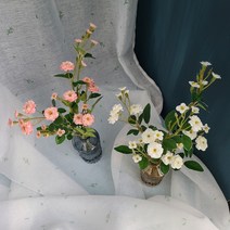 [올리브덴]폼폼장미 찔레장미조화 테이블조화 꽃꽂이재료 2color, 찔레장미 화이트