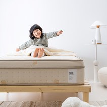 [방수커버증정+방문설치] 레이디가구 스칸딕 오가닉 독립스프링 매트리스 슈퍼싱글/퀸 SS/Q, 05. S5 (27cm 필로우탑)