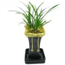 대훈4 동양란 동양난 서양란 서양난 승진, 추가금없음