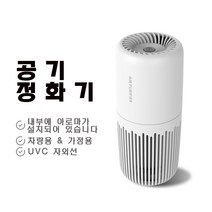 Natural light 차량용 UVC 자외선 지능형 음이온 공기청정기, UVC 자외선 버전