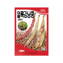 왜성 얼룩강낭콩 30g 밥콩 샐러드용 맛좋고 초세가 왕성한 왜성 강낭콩 경신씨앗, 1개