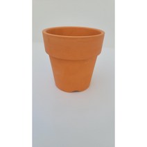 아산토분1호