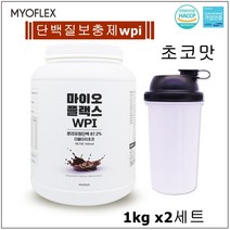 BMS 유청단백질 분말 가루 류신 분리유청 wpi 고단백 헬스보충제 단백질보충제 초코맛 프로틴 쉐이크 프롤린 근력강화 식스팩 식사대용 간헐적단식 무유당 운동전후 파우더 아르기닌 아침간편식 국내산 프로틴파우더, 2병, 1000g
