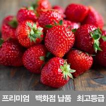 BD 1k500g_설향_만년설_국내산_백화점_딸기_금실_농장_라떼_납품_프리미엄_청_킹스베리_냉동_제철 CB40, 상세페이지 참조