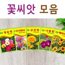 살아있는 꽃씨 야생화 키우기 다년생 채송화 다알리아 달맞이꽃 해바라기 맨드라미 봉선화 코스모스 메리골드 패랭이 접시꽃 사루비아 구절초 유채 백일홍 금잔화 꽃씨앗, S- 꽃씨-타레붓꽃 x 2개, 1개