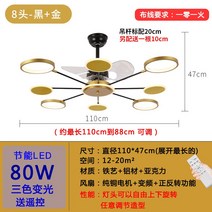 북유럽 선풍기 램프 크리에이티브 넷 레드미러 거실 레스토랑 샹들리에 리모컨 컨버터블-192950, 옵션01