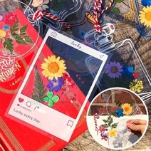 오렌지e몰 누름꽃 압화 투명 책갈피 만들기 - B세트, 단품