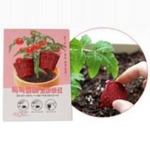 VPK729433화분에 꼽아쓰는 비료 2입 방울토마토 오이 고추용