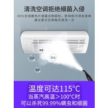 스팀세차기 엔진고압세척기 고온 및 고압 스팀 청소기 상업용 다기능 가정용 주방 범위 후드 통합 에어컨 장비, [02] [2세대] 가정용 업그레이드 모델 2600W