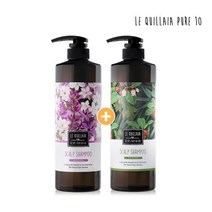 르퀼라야 스칼프 샴푸 810ml 2개 (가드니아+포레스트), 가드니아+포레스트