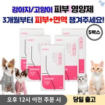 강아지 피부 영양제 강아지영양제피부 강아지 영양제 종합영양제 애견영양제 강아지종합영양제 강아지피부염, 5박스