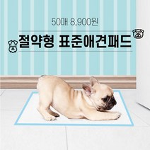 우리동네 박반장 애견패드 배변 프리미엄 초강력 흡수 패드 50매 강아지 저렴이