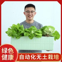 가정용 식물재배기 수경재배기 식물 재배기 화분수배채소설비재배함무토재배채소수경농채기 가정양, 4콤비 세트(풀세트 포함), 중간 정도