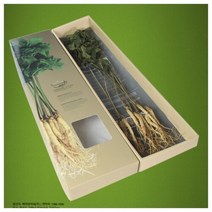 인삼스토리 국내산 스마트팜 수경재배 무농약 인삼 사포닌 함량 6배이상 통건조인삼(300g), 중(300g), 1개