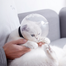 고양이 우주 헬멧 입마개 안전장치 그루밍 물림 방지 넥칼라 모자 투명 고양이발톱깎기, M/1.5-4.5kg, 목둘레 14.5-23.5cm, 투명 우주 헬멧