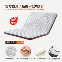B야자섬유 10cm패드+라텍스 3cm패드 2단 접이식 매트리스 단단한 갈색 하드 매트, I. type 9_단일상품