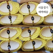 한정판매 새벽배송 당일배송 골드망고 2수 4수 6수 10수 12수 프리미엄 초고당도 과일 수입과일 특등급과일, (특 등급)골드망고 2수