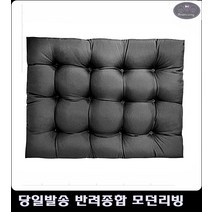 위한 방석 비숑집 무더위에 지친 강아지 강아지하우스스텝 새끼강아지집 펫쿠션