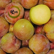 맛가득 프리미엄 자두 수박자두 피자두, 자두 상 500g, 1개