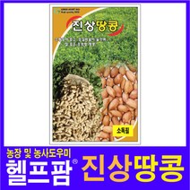 헬프팜 진상땅콩 30g 종자 그린하트바이오