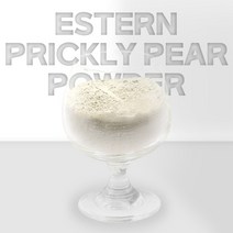열린약초 국내산 제주도 천년초 분말 가루 손바닥 선인장, 300g, 1개, 1개