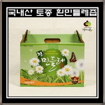 국내산 흰민들레 엑기스 1박스(100ml x 60포) 토종 민들레즙, 1개