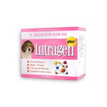 정품 강아지영양제 인트라젠 플러스 2g*30개입, 종합건강, 건강한맛
