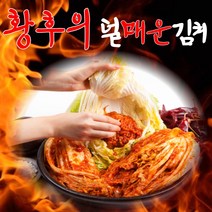실비 갓담은 김치 맛있게 덜매운 당일생산 배추 김장 김치 1kg