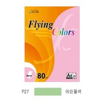 플라잉컬러 패럿(P01~P45)(Q01~Q5) (오피스MALL)플라잉컬러 패럿(P01~P45)(Q01~Q5)(PK1크라프트지)전품목색상판매중 A4*80g*25매*팩*삼원), 1팩, 플라잉컬러 패럿(P27/A4/ 80g/ 어린풀색/ 25매/팩/삼원)