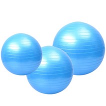 나skswint_안티버스트 짐볼 요가볼 필라테스볼 블루 55cm 스트레칭볼 볼운동 탱탱한볼 운동볼 튼튼한볼 헬스볼♥winters, ♥나누리겨울!