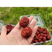 건대추 대용량 건사과대추 5kg 10kg 20kg 중대과 크기 28~35mm, 1박스, 28~35mm/5kg