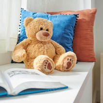 템퍼 페딕 미국 정품 플러쉬 테디베어