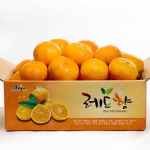 알동네 제주 레드향 2kg 3kg 5kg 중과 로얄과 소과 가정용 선물세트, 1박스, 레드향4.5kg소과(25-35과)벌크포장(농장추천)
