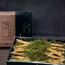 경성건강원 강원도 토종 수삼 200g 7~9뿌리 국산 자연산수삼 진세노사이드 인삼 생삼 선물용 수삼선물 부모님 선물세트 건강선물 감사선물 명절선물 고급선물, 1세트