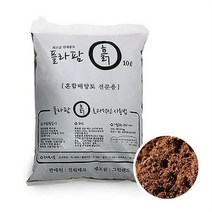 (10Lx6개)천리향 아라우카리아 황칠 남천 나무 금전수 분갈이