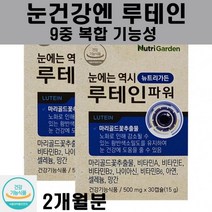 눈이침침할때 노화 40 50대 직장인 부모님 선물 청소년 수험생 눈영양제 영양제 루테인, 1개, 베스타 아이비전 루테인 60캡슐(2개월분)