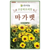 페퍼민트 200립 - 허브 허브씨 허브씨앗 씨 씨앗 페퍼민트씨 페퍼민트씨앗 꽃씨 꽃씨앗 페파민트 매운박하 다년생 여러해살이 Pepper, 11_다농_마가렛(1g)