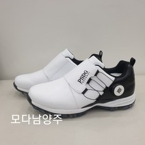 파사디 (모다남양주) 골프 남성 사계절 보아 스파이크 골프화 신발 QSAAE8S01M-1