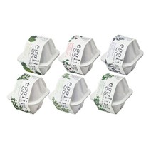 에글링 9종 허브 과일 꽃 클로버 키우기, 카네이션