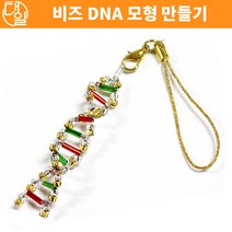 비즈DNA 모형 만들기(10인세트)