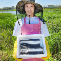 미자네수산 국산 자포니카 손질 민물장어 캠핑 시세 1kg, 자포니카 장어1kg 2마리(손질후600g)