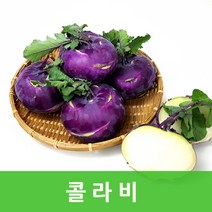 싱싱한 콜라비10kg 제주 콜라비 맛있는 컬러푸드, 콜라비(특소)10kg