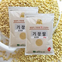 [황토밭푸드] 22년산 국내산100% 기장쌀 2kg, 기장쌀 1개입