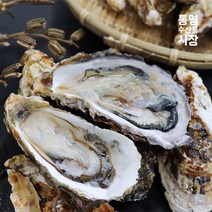 통영수산물시장 [통영수산물시장] 통영 산지직송 특사이즈 석화 10kg (80미 내외), 상세 설명 참조