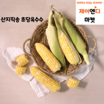 [5월10일 첫 출하] 100일의 기다림 초당옥수수 16cm이상 특품 5개 10개 예약